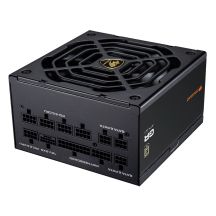 COUGAR CGRGDN-1000 moduł zasilaczy 1000 W 20+4 pin ATX ATX Czarny