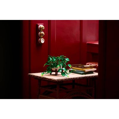 12. LEGO Botanical Collection 11512 - Wiszące epipremnum złociste