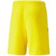 2. Spodenki Puma teamLIGA M 704924 07