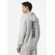 6. Bluza Helly Hansen Core Graphic Sweat Hoodie M 53924 825