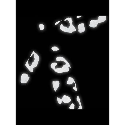 4. Naklejka BOOKMAN Reflective Leopard Print