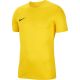 3. Koszulka Nike Dry Park VII JSY SS M BV6708 719