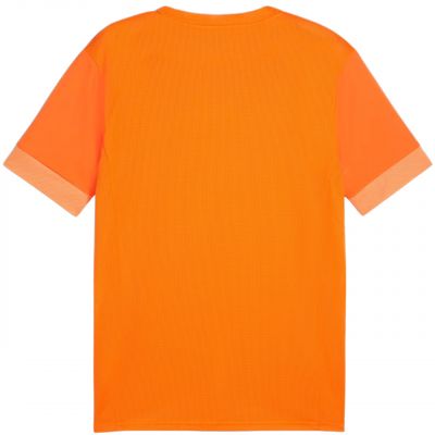 2. Koszulka Puma teamGoal Matchday Jersey M 705747 08
