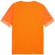 2. Koszulka Puma teamGoal Matchday Jersey M 705747 08