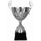 6. Puchar metalowy srebrny MUFAS