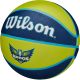 14. PIŁKA DO KOSZYKÓWKI WILSON WNBA TEAM TRIBUTE BSKT DAL WINGS R.6