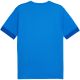 2. Koszulka Puma teamGoal Matchday Jersey M 705747 02