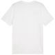 4. Koszulka Puma Team Goal Casuals Tee M 658615 04
