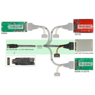 3. Adapter NVMe Delock M.2 Key M zu U.2 SFF-8639 NVMe Adapter 50cm