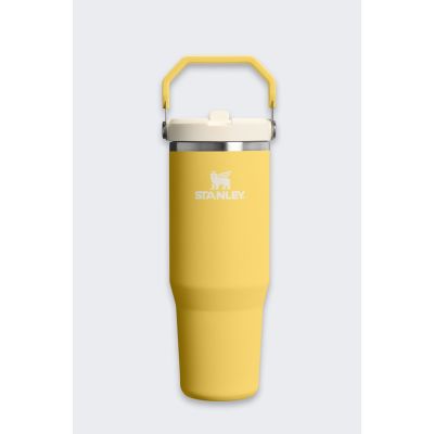Kubek Termiczny Stanley IceFlow Flip Straw 20 08 D