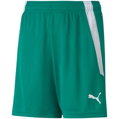 3. Spodenki Puma teamLIGA Shorts Jr 704931 05