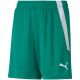 3. Spodenki Puma teamLIGA Shorts Jr 704931 05
