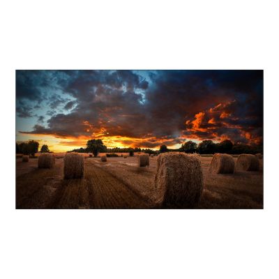 Monitor LCD Samsung 46" VM46B-U LH46VMBUBGBXEN Wewnętrzny