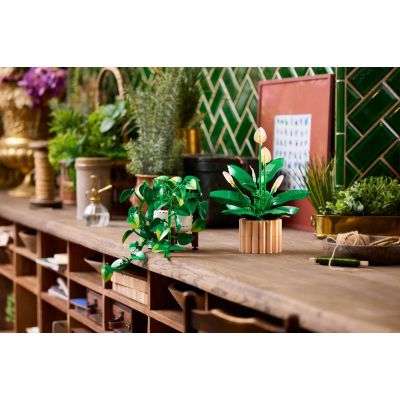8. LEGO Botanical Collection 11512 - Wiszące epipremnum złociste