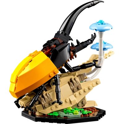 6. LEGO Ideas 21342 Kolekcja owadów