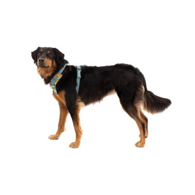 7. Ruffwear 30503-355S1 szelki dla psów / kotów XS Zielony Nylon, Poliester Pies Nierozciągliwa uprząż