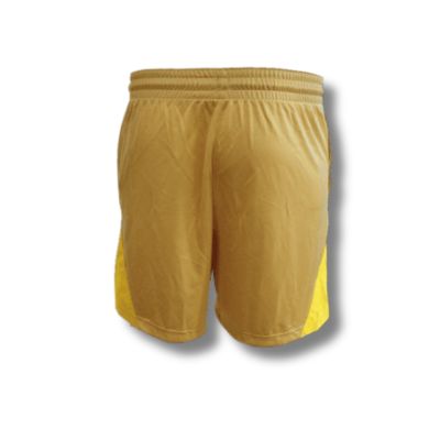 2. Spodenki Nike Isofly Shorts Wmns - DH7363-252