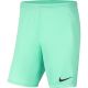 4. Spodenki Nike Dry Park III NB K M BV6855 354