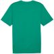 2. Koszulka Puma Team Rise Logo Jersey Cotton M 658705 05