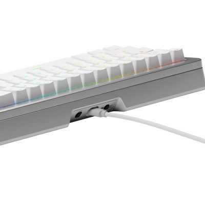 5. Glorious Gaming GLO-KB-GMMK3-PRO-65-PB-FOX-W-SIL-US klawiatura