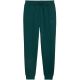 2. Spodnie męskie Puma ESS no.1 Logo Sweatpants FL zielone 682607 70