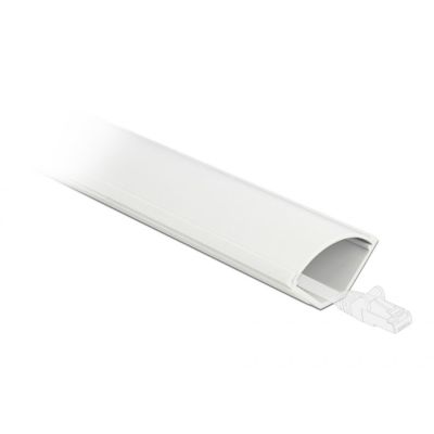 DeLOCK Korytko kablowe, kątowe 43 x 23 mm - długość 1 m białe