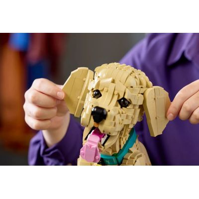 13. LEGO 11384 Icons - Szczeniak golden retriever