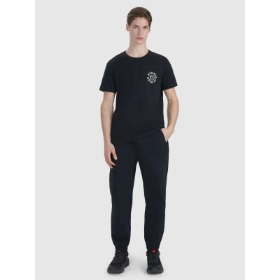 3. T-shirt regular z nadrukiem męski  4F 4FWSS25TTSHM1980-20S