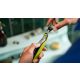 8. Wymienne ostrze PHILIPS QP 420/50 One Blade