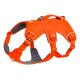 Szelki dla psa Ruffwear Web Master Harness - blaze orange, rozmiar: m