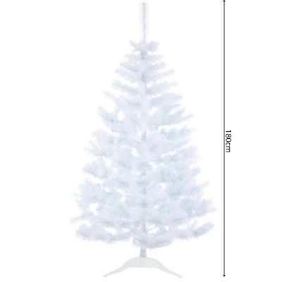 5. CHOINKA SOSNA BIAŁA MEGI 180CM