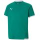 3. Koszulka Puma teamLIGA Jersey Jr 704925 05