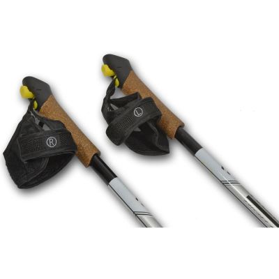 2. KIJE NORDIC WALKING BEST SPORTING 1-SEKFENCJE CARBON DŁ. 125CM