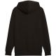 9. Bluza Puma ESS No.1 Logo Hoodie TR M 682572 01