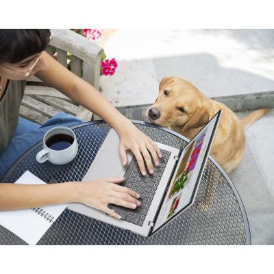 14. ASUS Vivobook 14 M1407GA-LY012W Ryzen AI 7 445 14.0"WUXGA IPS-level 60Hz 300nits AG 16GB DDR5 SSD512 Cam1080 42WHrs Win11 Cool Silver