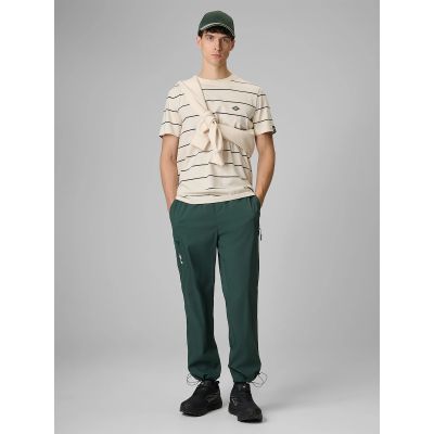 Spodnie casual joggery męskie 4F 4FRSS26TTROM1915-40S