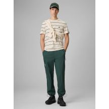 Spodnie casual joggery męskie 4F 4FRSS26TTROM1915-40S