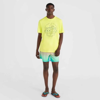 8. Szorty kąpielowe O'Neill Jack Cali Gradient 15'' Swim Shorts M 92800613575