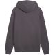 2. Bluza męska Puma ESS 2 Color Small No.1 Logo Hoodie szara 684718 77