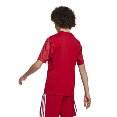 2. Koszulka adidas Team Icon 25 Jr JM8362