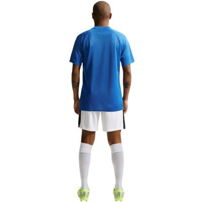 15. Koszulka męska Nike Dri-Fit Park VIII niebieska HV8173 463