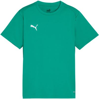 3. Koszulka dla dzieci Puma TeamGoal Jersey zielona 658637 05