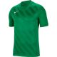 3. Koszulka Nike Dri Fit Challange 3 Y Jr BV6738 302