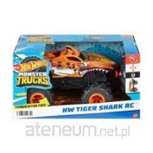 Hot Wheels Monster Trucks HNV03 samochodzik