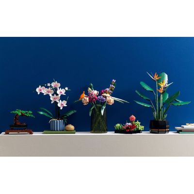 14. LEGO Icons 10311 - Orchidea