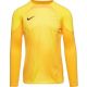 4. Koszulka bramkarska Nike Gardien IV Goalkeeper JSY M DH7967 719