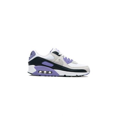 Buty męskie NIKE AIR MAX 90 (DM0029-114)