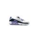 Buty męskie NIKE AIR MAX 90 (DM0029-114)
