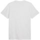 3. Koszulka męska Puma ESS Small No.1 Logo Tee(s) jasnoszara 682535 05