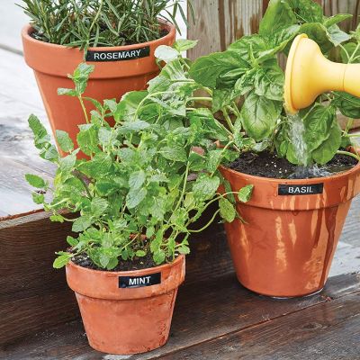 11. Drukarka etykiet Dymo LM 160 Value Pack +3xS0720530 taśma D1 czarna/biała 12mm